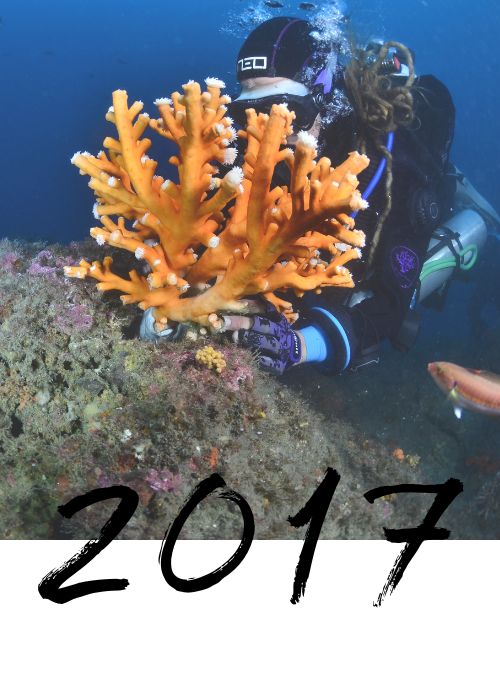 Partenariat avec coral guardian en 2017