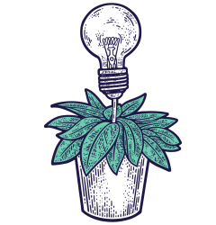 plante-ampoule